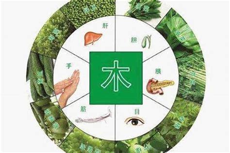 缺木怎麼補|五行缺木，该如何改善